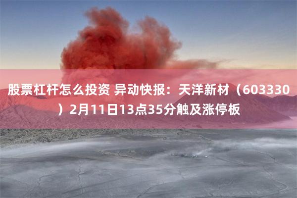 股票杠杆怎么投资 异动快报：天洋新材（603330）2月11日13点35分触及涨停板
