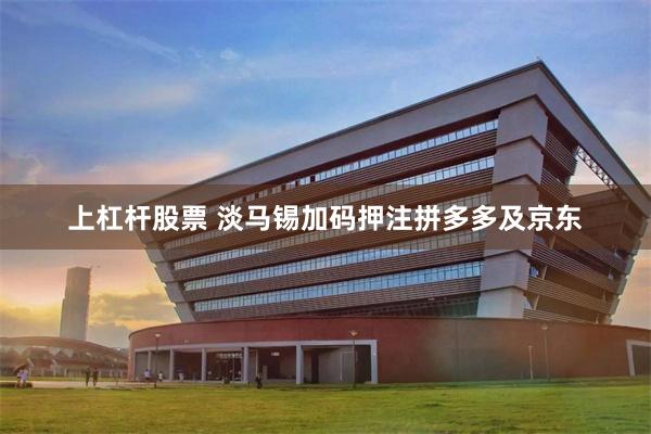 上杠杆股票 淡马锡加码押注拼多多及京东