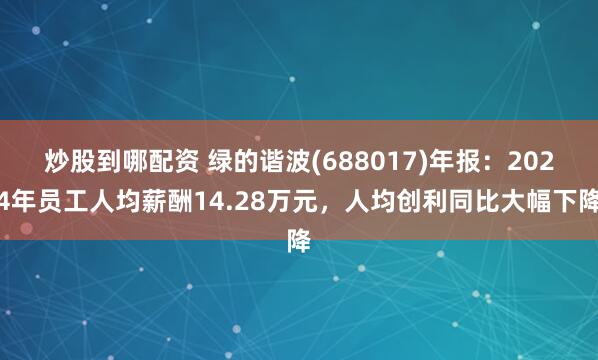 炒股到哪配资 绿的谐波(688017)年报：2024年员工人均薪酬14.28万元，人均创利同比大幅下降