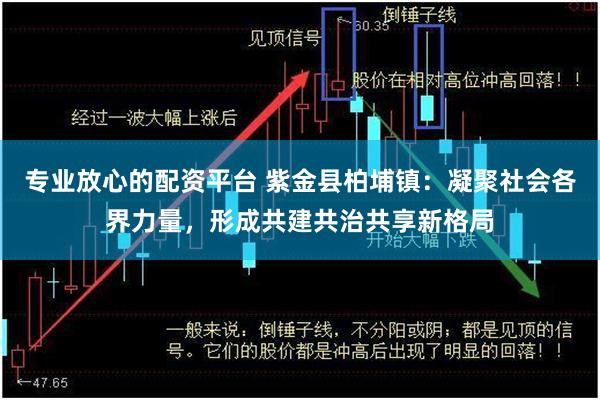 专业放心的配资平台 紫金县柏埔镇：凝聚社会各界力量，形成共建共治共享新格局