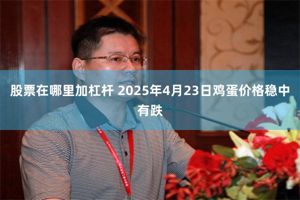 股票在哪里加杠杆 2025年4月23日鸡蛋价格稳中有跌