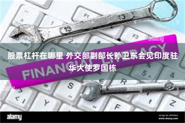 股票杠杆在哪里 外交部副部长孙卫东会见印度驻华大使罗国栋