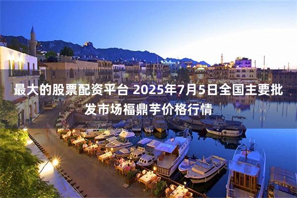 最大的股票配资平台 2025年7月5日全国主要批发市场福鼎芋价格行情