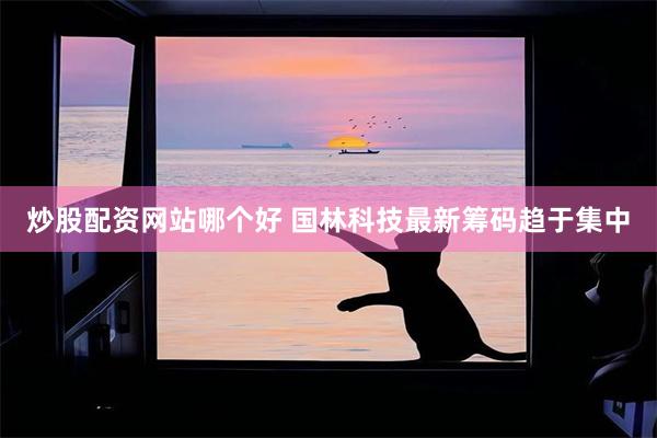 炒股配资网站哪个好 国林科技最新筹码趋于集中
