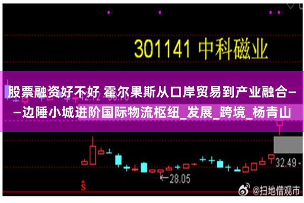 股票融资好不好 霍尔果斯从口岸贸易到产业融合——边陲小城进阶国际物流枢纽_发展_跨境_杨青山