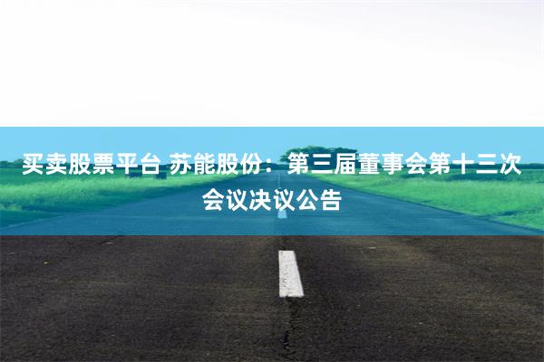 买卖股票平台 苏能股份：第三届董事会第十三次会议决议公告