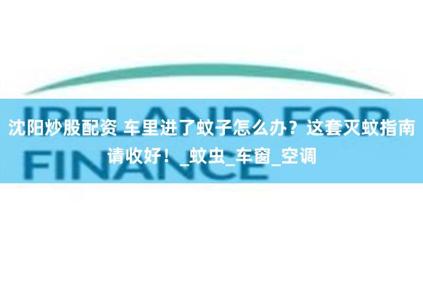 沈阳炒股配资 车里进了蚊子怎么办？这套灭蚊指南请收好！_蚊虫_车窗_空调