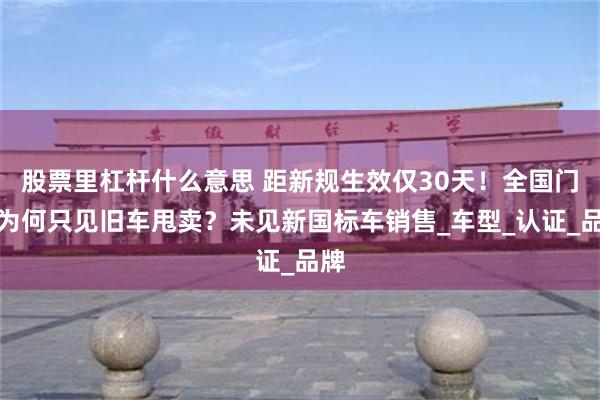 股票里杠杆什么意思 距新规生效仅30天！全国门店为何只见旧车甩卖？未见新国标车销售_车型_认证_品牌