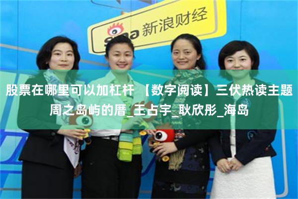 股票在哪里可以加杠杆 【数字阅读】三伏热读主题周之岛屿的厝_王占宇_耿欣彤_海岛