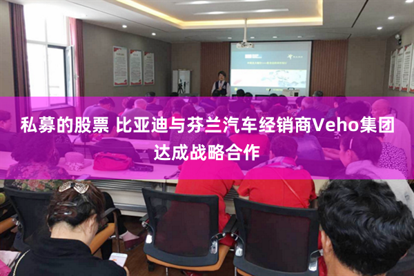 私募的股票 比亚迪与芬兰汽车经销商Veho集团达成战略合作