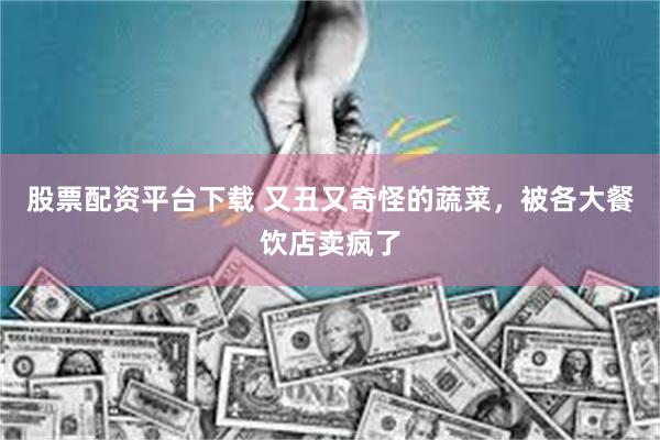股票配资平台下载 又丑又奇怪的蔬菜，被各大餐饮店卖疯了