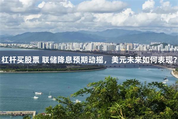 杠杆买股票 联储降息预期动摇，美元未来如何表现？