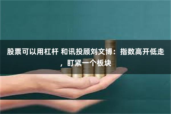 股票可以用杠杆 和讯投顾刘文博：指数高开低走，盯紧一个板块