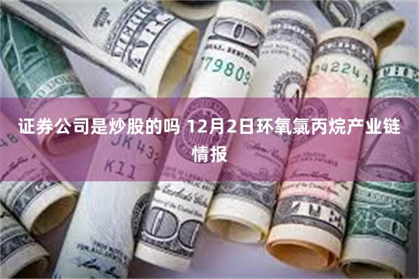 证券公司是炒股的吗 12月2日环氧氯丙烷产业链情报